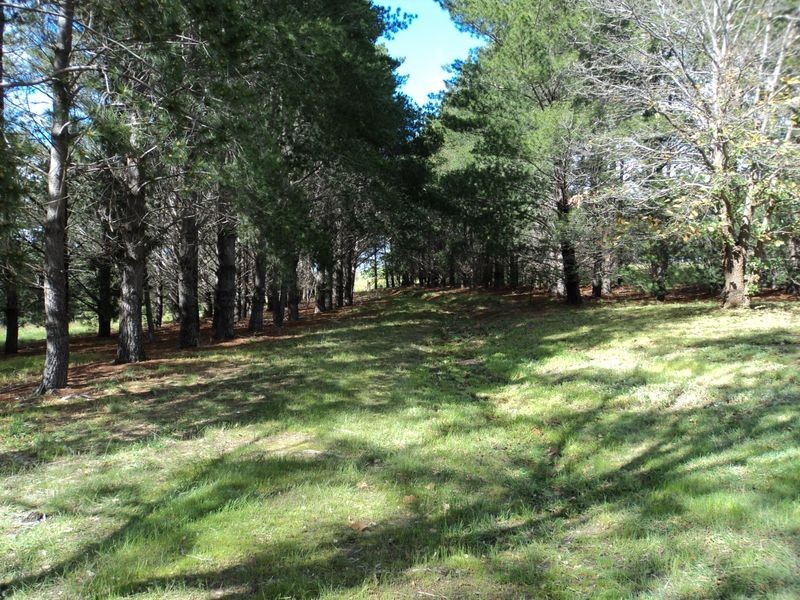 20 Scullys Lane, Broadford VIC 3658