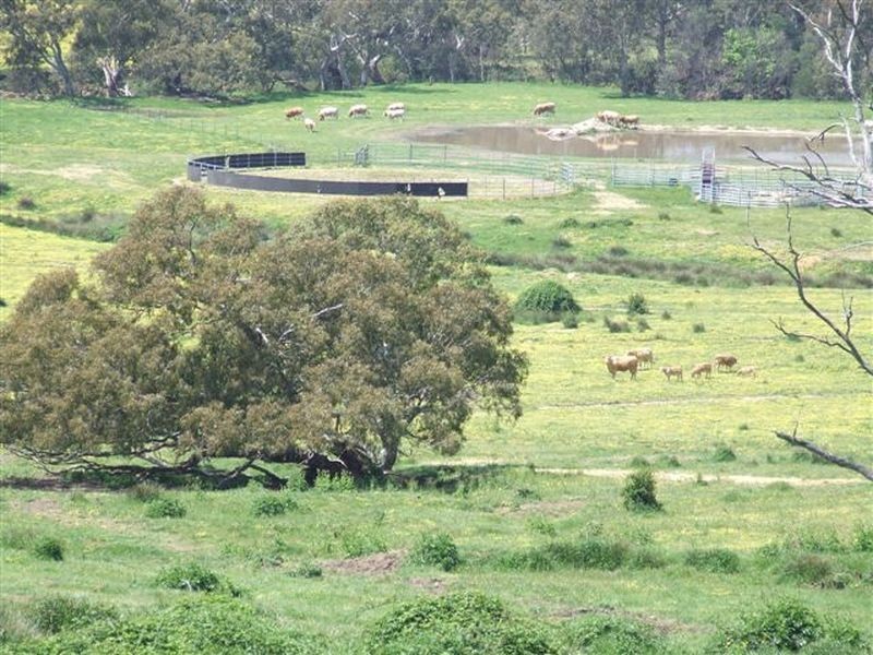 Lot 1 Kenny’s Lane, Broadford VIC 3658