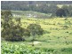 Lot 1 Kenny’s Lane, Broadford VIC 3658