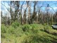 590 Spur Rd, Clonbinane VIC 3658