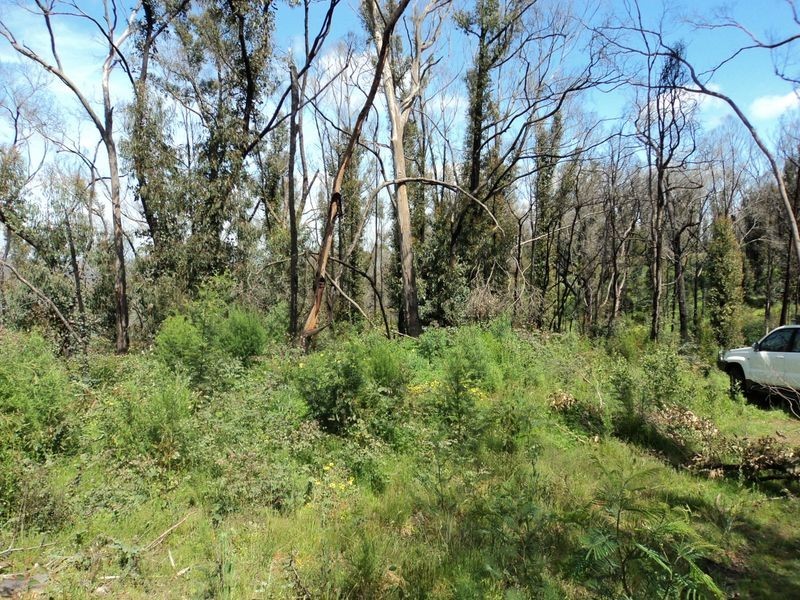 590 Spur Rd, Clonbinane VIC 3658