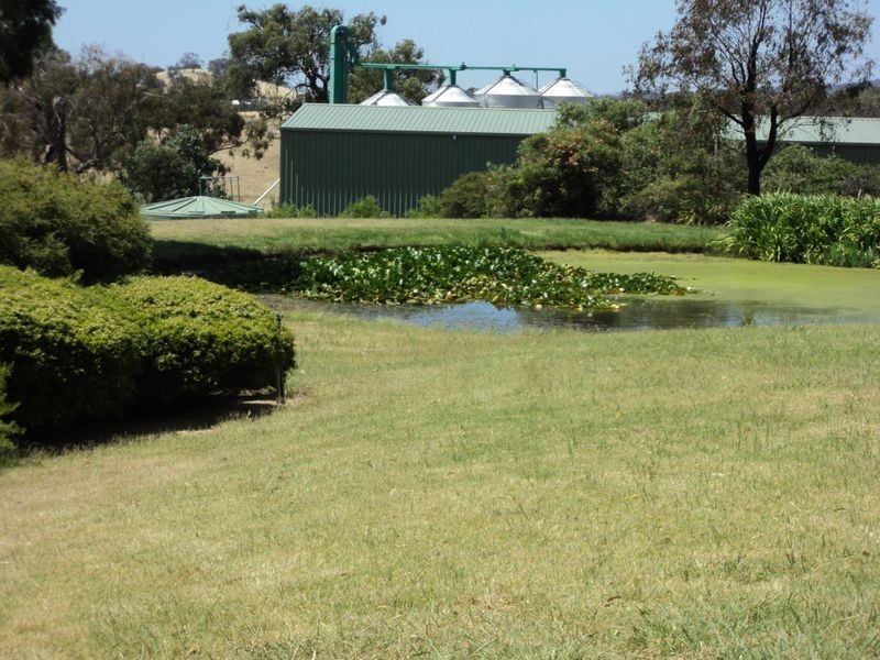 330 Selection Road, Broadford VIC 3658