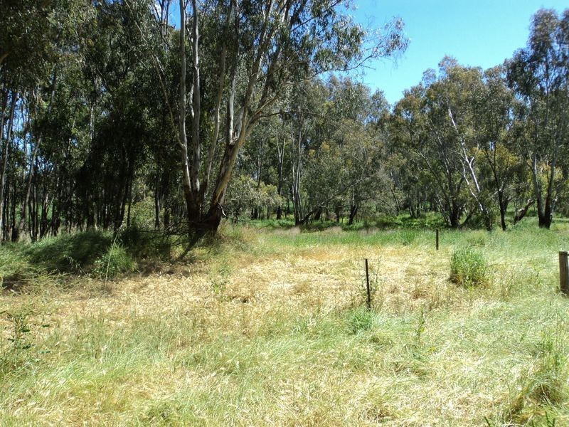 28 Priestley Crescent, Seymour VIC 3660