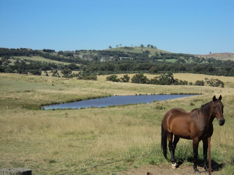 20 Olive Court, Kilmore East VIC 3764