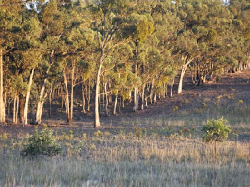 Lot 24 – L Strath Lake, Broadford VIC 3658