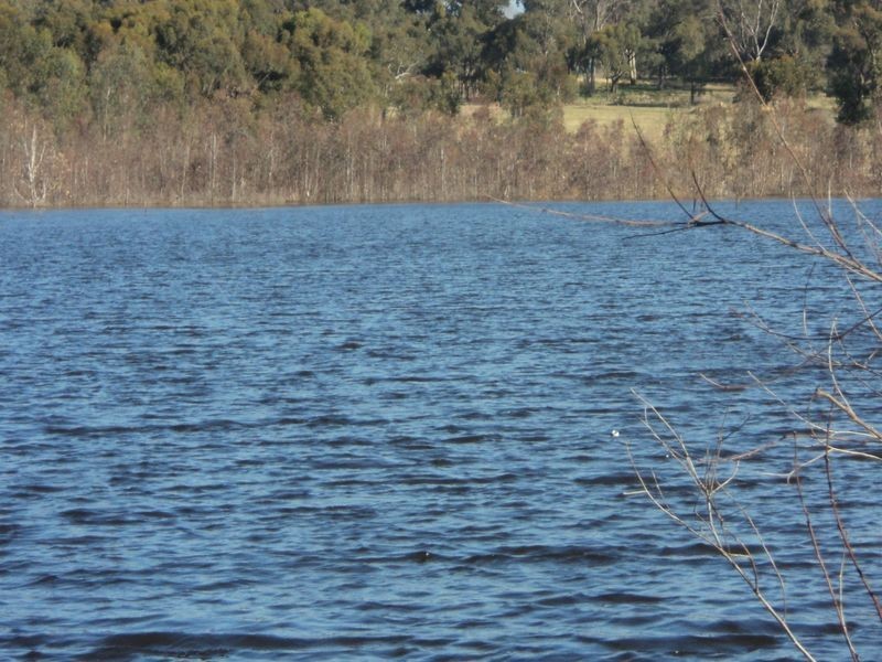 3 Violet Lane, Broadford VIC 3658