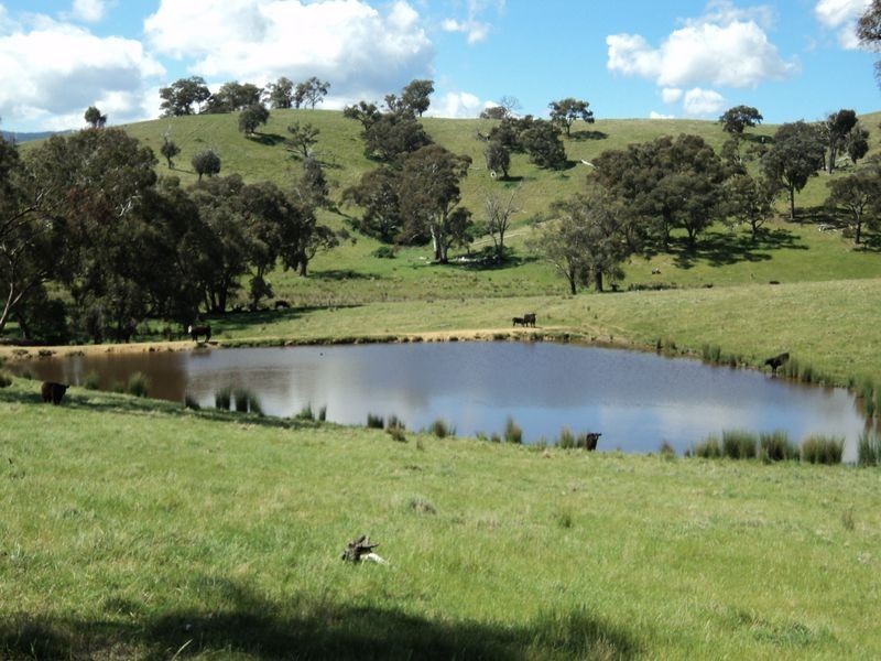 135 Reedy Creek Road, Broadford VIC 3658