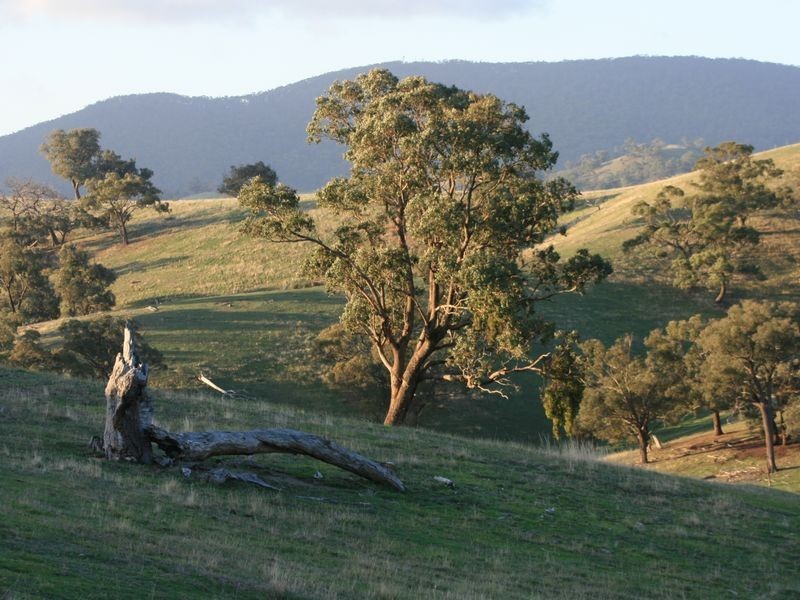 135 Reedy Creek Road, Broadford VIC 3658