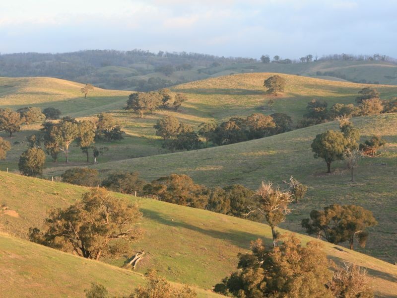 135 Reedy Creek Road, Broadford VIC 3658