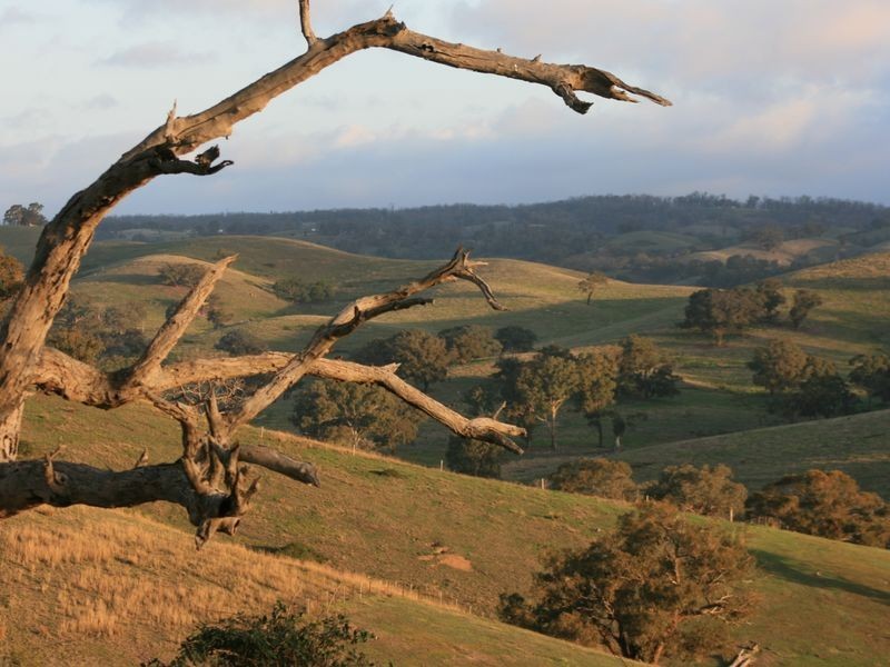 135 Reedy Creek Road, Broadford VIC 3658