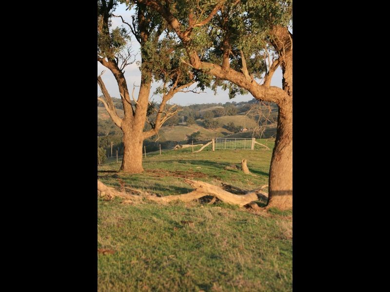 135 Reedy Creek Road, Broadford VIC 3658