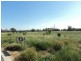 Lot 4 Farrah Place, Avenel VIC 3664