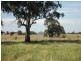 Lot 1 Broadford – Pyalong Rd, Pyalong VIC 3521