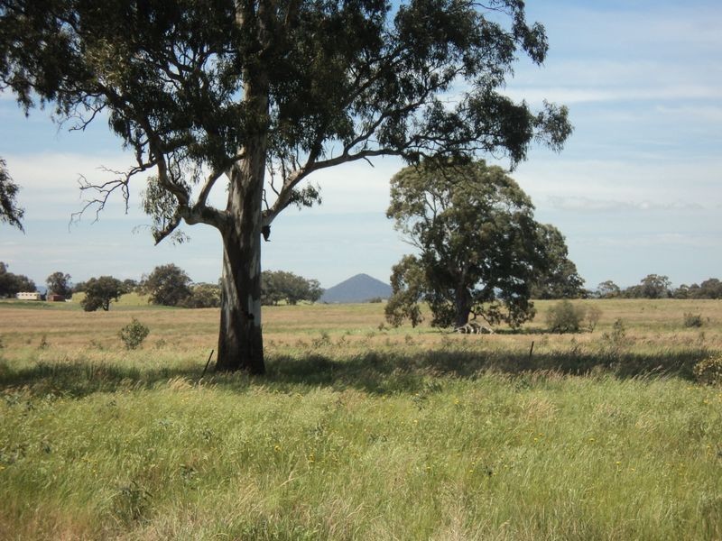 Lot 1 Broadford – Pyalong Rd, Pyalong VIC 3521