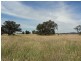 Lot 1 Broadford – Pyalong Rd, Pyalong VIC 3521
