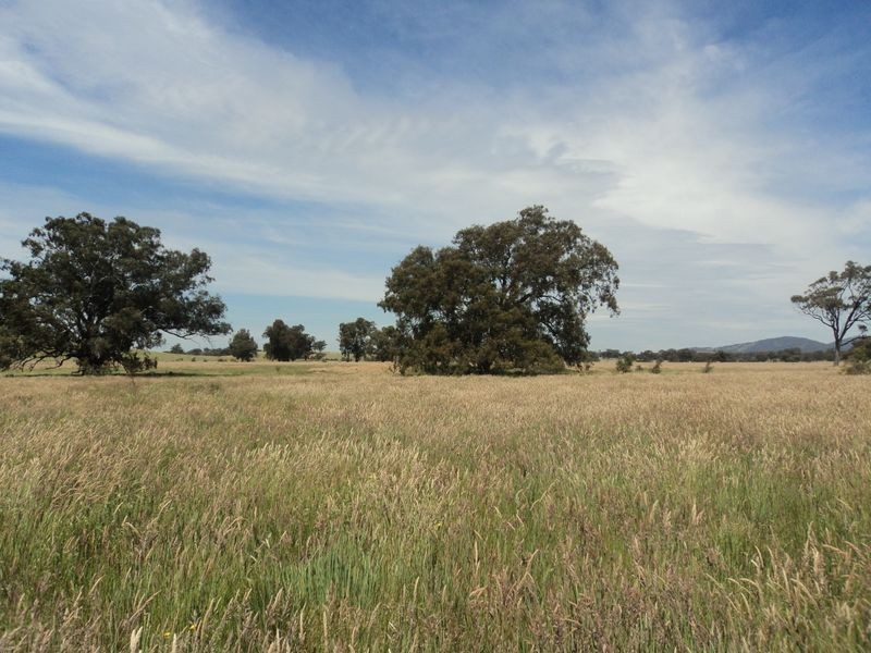 Lot 1 Broadford – Pyalong Rd, Pyalong VIC 3521