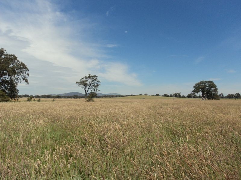 Lot 1 Broadford – Pyalong Rd, Pyalong VIC 3521