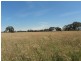 Lot 1 Broadford – Pyalong Rd, Pyalong VIC 3521