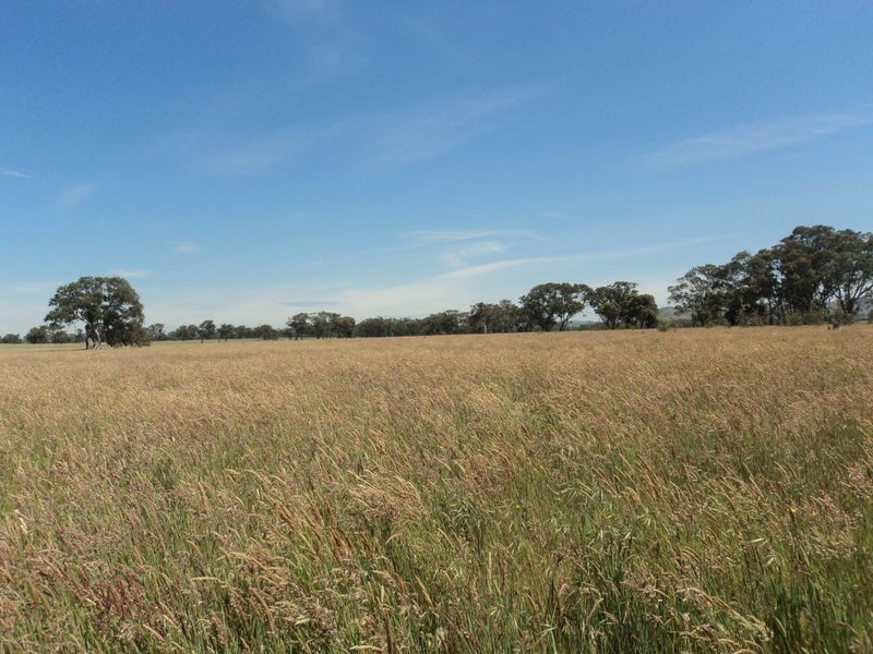 Lot 1 Broadford – Pyalong Rd, Pyalong VIC 3521