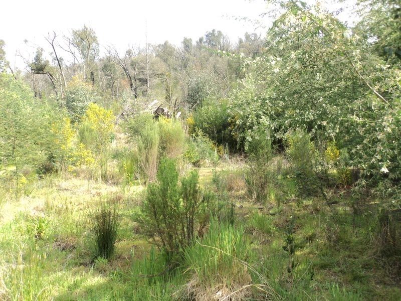 30 Long Gully Rd, Hazeldene VIC 3658