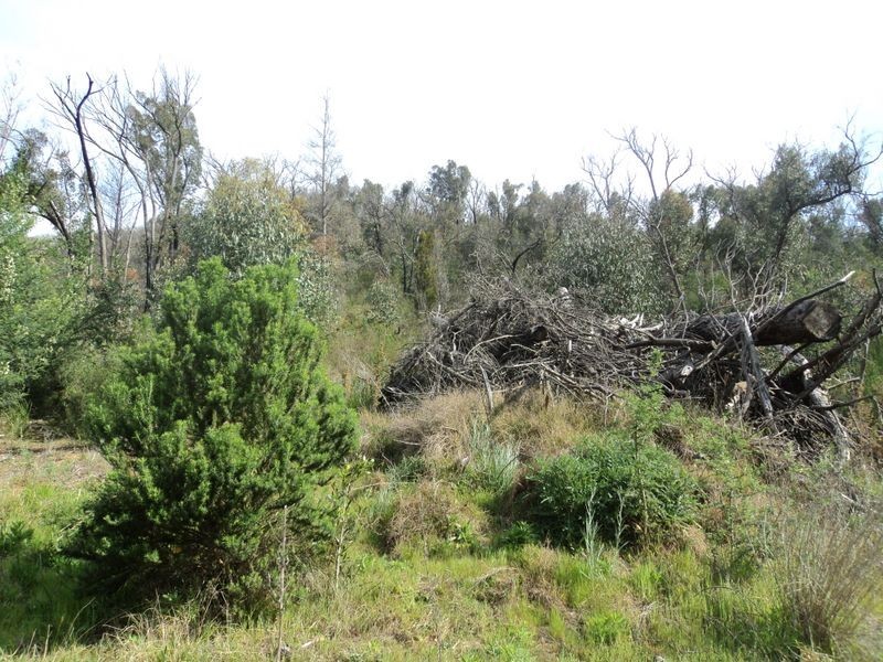 30 Long Gully Rd, Hazeldene VIC 3658