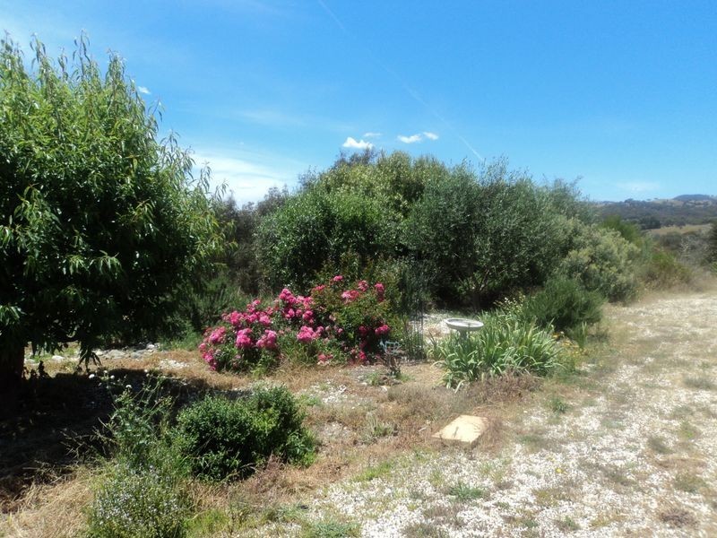 9 Purrier Ct, Broadford VIC 3658