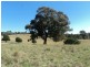 295 Mia Mia Rd, Broadford VIC 3658
