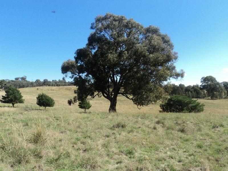 295 Mia Mia Rd, Broadford VIC 3658