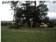 5 Cortona Close, Wallan VIC 3756