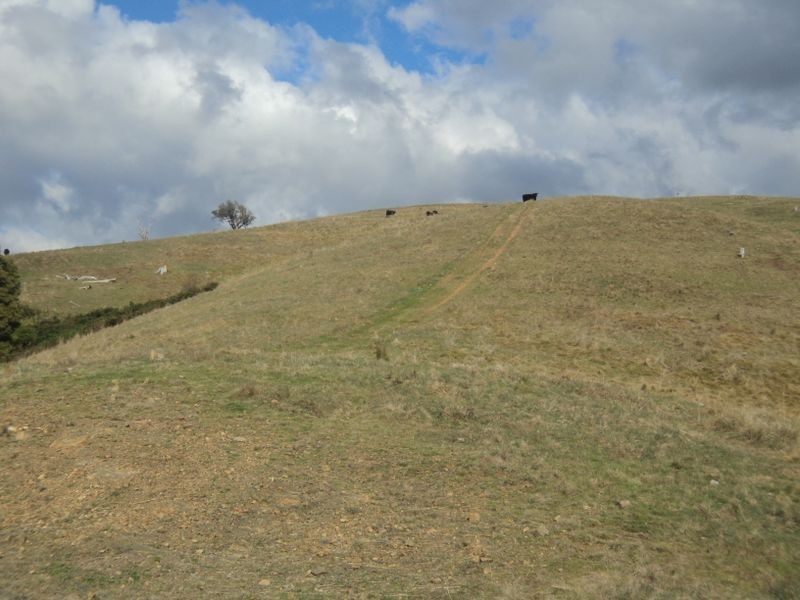 1150 Strath Creek Rd, Broadford VIC 3658