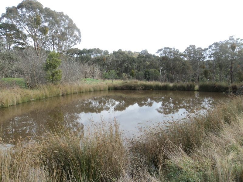 375 Reedy Creek Road, Reedy Creek VIC 3658