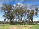 195 Strath Creek Road, Broadford VIC 3658
