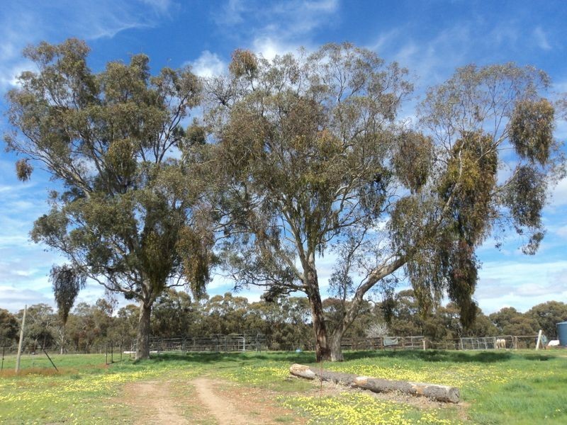 195 Strath Creek Road, Broadford VIC 3658