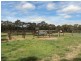 195 Strath Creek Road, Broadford VIC 3658