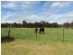 195 Strath Creek Road, Broadford VIC 3658