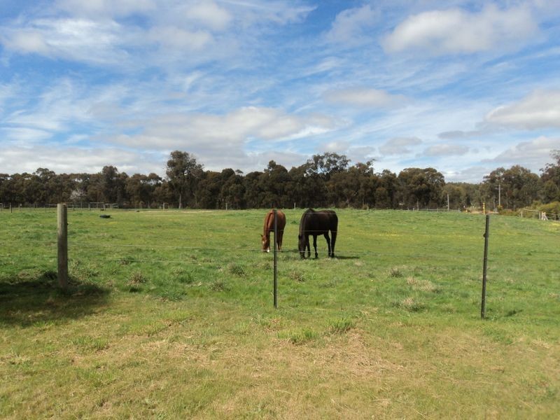 195 Strath Creek Road, Broadford VIC 3658
