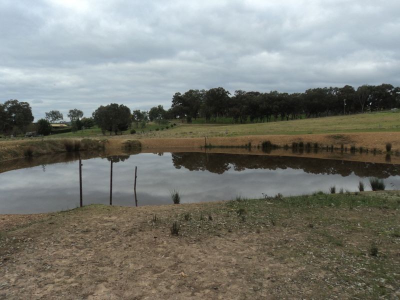 76 Lawrances Road, Yea VIC 3717