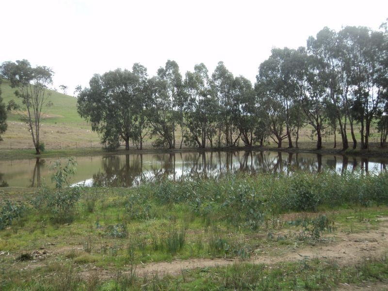 76 Lawrances Road, Yea VIC 3717