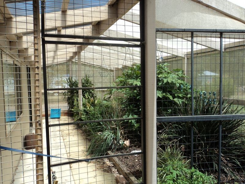 50 Casey Crescent, Broadford VIC 3658