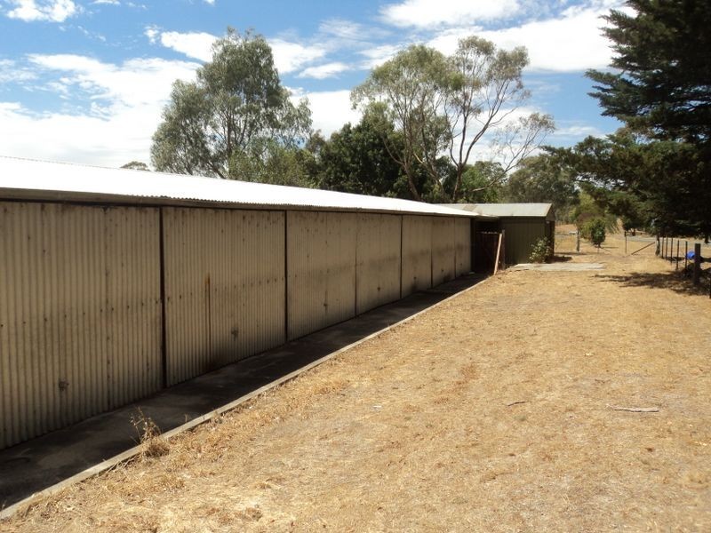 151 Burges Lane, Broadford VIC 3658