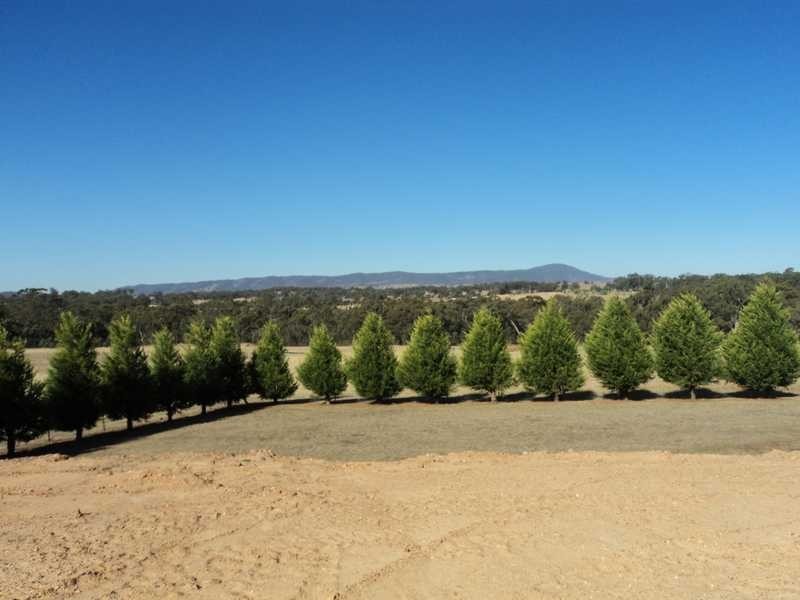 101 Selection Road, Broadford VIC 3658