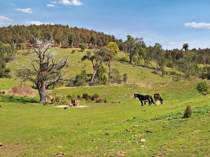 490 Davis Road, Broadford VIC 3658