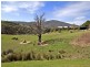 490 Davis Road, Broadford VIC 3658