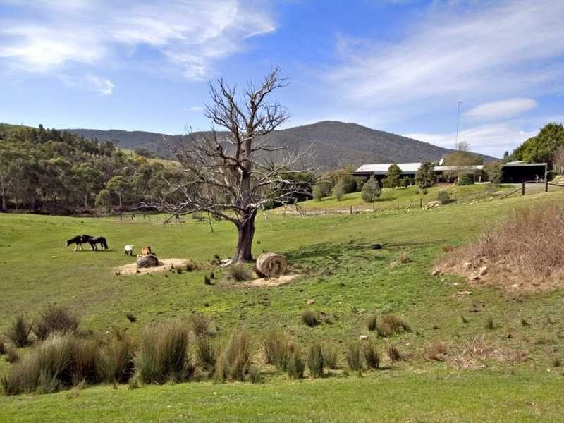 490 Davis Road, Broadford VIC 3658