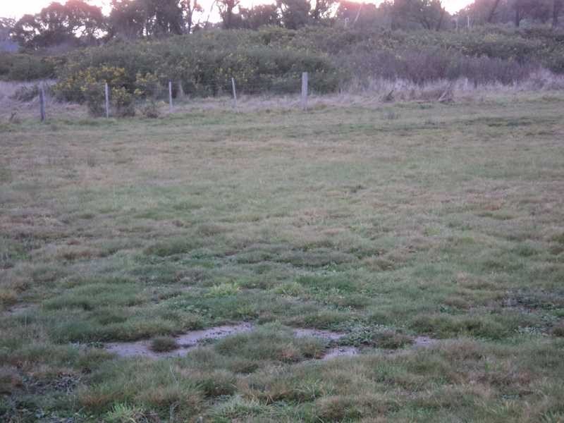 1/3 Waratah Court, Kilmore VIC 3764