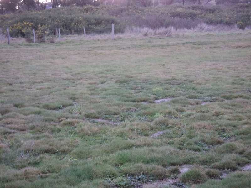 1/3 Waratah Court, Kilmore VIC 3764