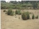 150 Burges Lane, Broadford VIC 3658