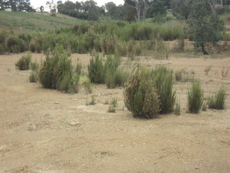 150 Burges Lane, Broadford VIC 3658