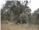 150 Burges Lane, Broadford VIC 3658
