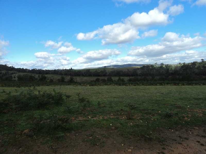 295 Spur Road, Clonbinane VIC 3658